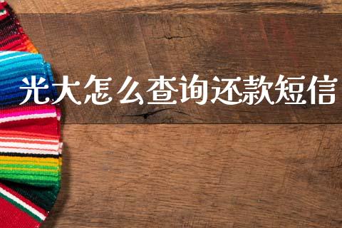 光大怎么查询还款短信_https://m.kuaijiepai.net_股票交易_第1张