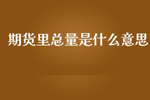 期货里总量是什么意思_https://m.kuaijiepai.net_股票交易_第1张