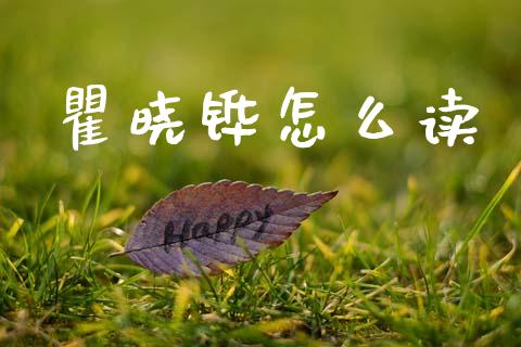 瞿晓铧怎么读_https://m.kuaijiepai.net_股票交易_第1张