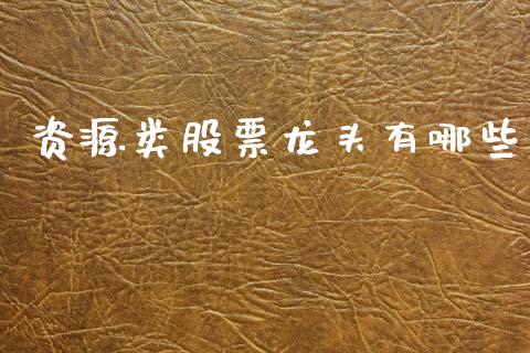 资源类股票龙头有哪些_https://m.kuaijiepai.net_货币基金_第1张