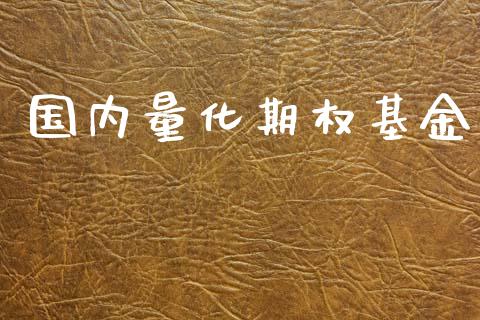 国内量化期权基金_https://m.kuaijiepai.net_货币基金_第1张