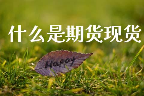 什么是期货现货_https://m.kuaijiepai.net_股票交易_第1张