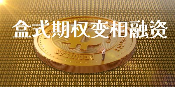 盒式期权变相融资_https://m.kuaijiepai.net_资产证券化_第1张