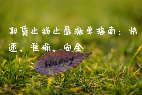 期货止损止盈撤单指南：快速、准确、安全_https://m.kuaijiepai.net_股票交易_第1张
