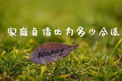 家庭负债比为多少合适_https://m.kuaijiepai.net_资产证券化_第1张