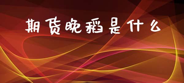 期货晚稻是什么_股票交易_第1张_货币基金_债券投资_股票交易_资产证券化 期货晚稻是什么_https://m.kuaijiepai.net_股票交易_第1张