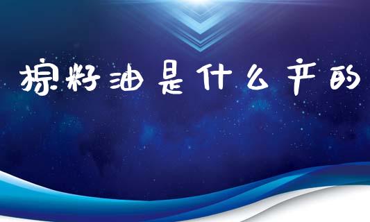 棕籽油是什么产的_债券投资_第1张_货币基金_债券投资_股票交易_资产证券化 棕籽油是什么产的_https://m.kuaijiepai.net_债券投资_第1张