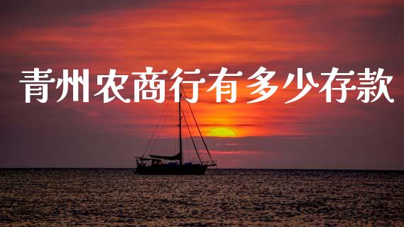 青州农商行有多少存款_https://m.kuaijiepai.net_债券投资_第1张