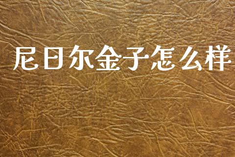 尼日尔金子怎么样_https://m.kuaijiepai.net_货币基金_第1张