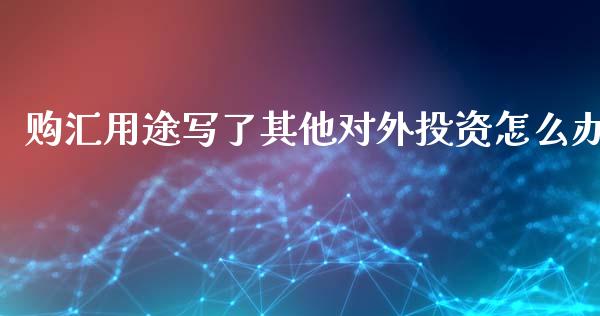 购汇用途写了其他对外投资怎么办_https://m.kuaijiepai.net_债券投资_第1张