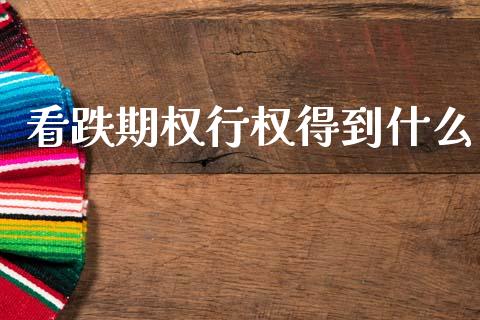 看跌期权行权得到什么_https://m.kuaijiepai.net_货币基金_第1张