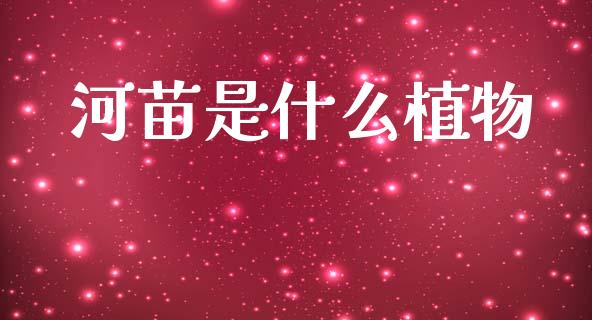 河苗是什么植物_https://m.kuaijiepai.net_股票交易_第1张