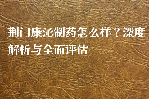荆门康沁制药怎么样？深度解析与全面评估_https://m.kuaijiepai.net_货币基金_第1张