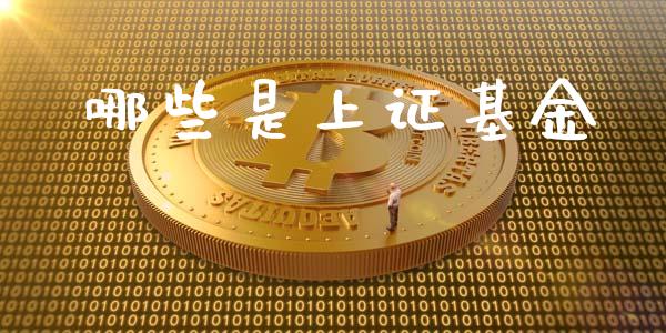 哪些是上证基金_https://m.kuaijiepai.net_股票交易_第1张