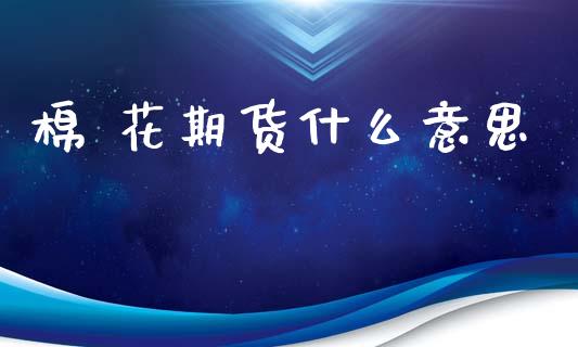 棉 花期货什么意思_股票交易_第1张_货币基金_债券投资_股票交易_资产证券化 棉 花期货什么意思_https://m.kuaijiepai.net_股票交易_第1张