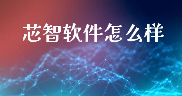 芯智软件怎么样_https://m.kuaijiepai.net_股票交易_第1张