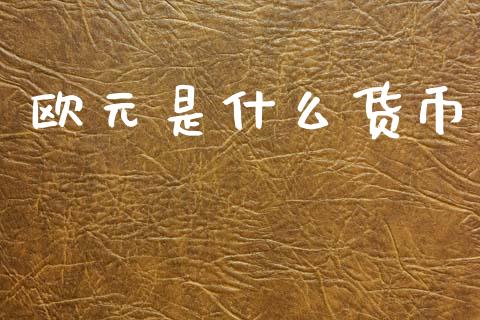 欧元是什么货币_https://m.kuaijiepai.net_货币基金_第1张