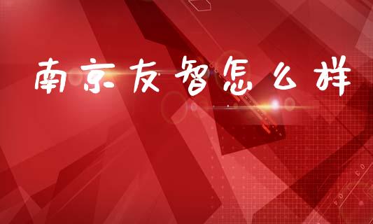 南京友智怎么样_https://m.kuaijiepai.net_资产证券化_第1张