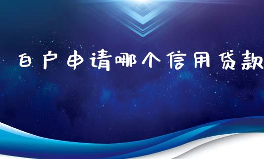 白户申请哪个信用贷款_https://m.kuaijiepai.net_资产证券化_第1张
