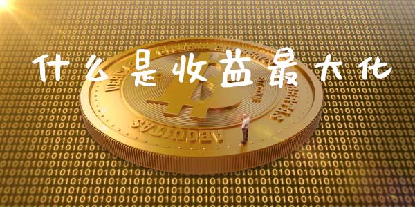 什么是收益最大化_https://m.kuaijiepai.net_债券投资_第1张