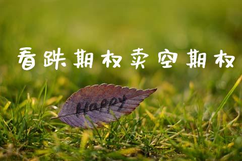 看跌期权卖空期权_https://m.kuaijiepai.net_资产证券化_第1张