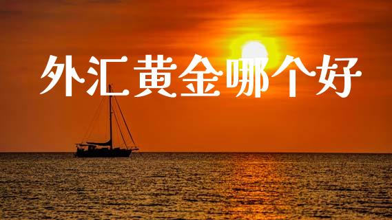 外汇黄金哪个好_https://m.kuaijiepai.net_货币基金_第1张