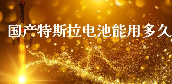 国产特斯拉电池能用多久_https://m.kuaijiepai.net_资产证券化_第1张