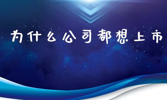为什么公司都想上市_https://m.kuaijiepai.net_资产证券化_第1张