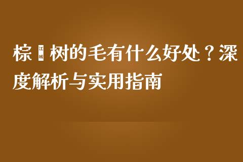 棕榈树的毛有什么好处？深度解析与实用指南_https://m.kuaijiepai.net_货币基金_第1张