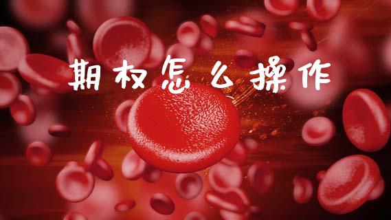 期权怎么操作_https://m.kuaijiepai.net_股票交易_第1张