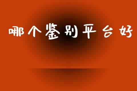 哪个鉴别平台好_https://m.kuaijiepai.net_货币基金_第1张