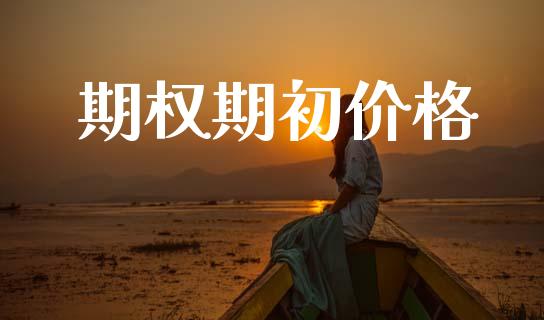 期权期初价格_https://m.kuaijiepai.net_股票交易_第1张