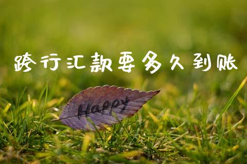 跨行汇款要多久到账_https://m.kuaijiepai.net_债券投资_第1张
