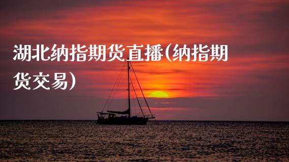 湖北纳指期货直播(纳指期货交易)_https://m.kuaijiepai.net_资产证券化_第1张