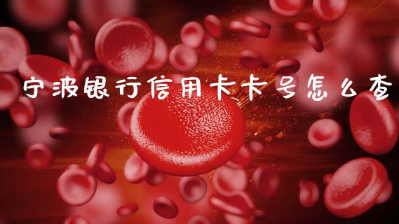 宁波银行信用卡卡号怎么查_https://m.kuaijiepai.net_货币基金_第1张