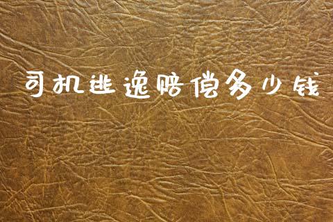 司机逃逸赔偿多少钱_https://m.kuaijiepai.net_资产证券化_第1张