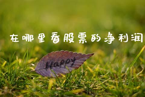 在哪里看股票的净利润_https://m.kuaijiepai.net_债券投资_第1张