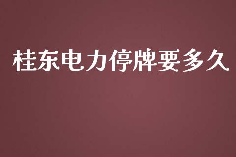 桂东电力停牌要多久_https://m.kuaijiepai.net_股票交易_第1张