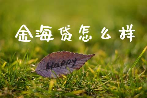 金海贷怎么样_https://m.kuaijiepai.net_股票交易_第1张