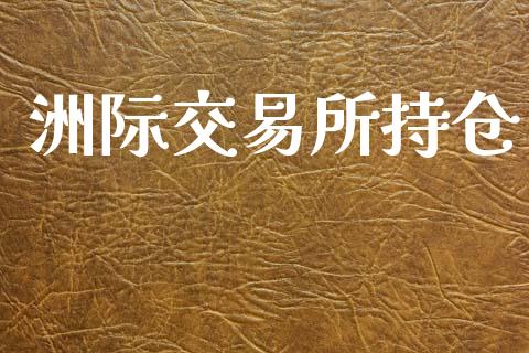 洲际交易所持仓_https://m.kuaijiepai.net_资产证券化_第1张