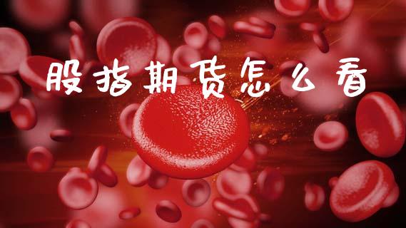 股指期货怎么看_https://m.kuaijiepai.net_股票交易_第1张