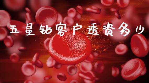 五星钻客户透资多少_https://m.kuaijiepai.net_债券投资_第1张