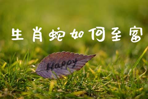 生肖蛇如何至富_https://m.kuaijiepai.net_债券投资_第1张