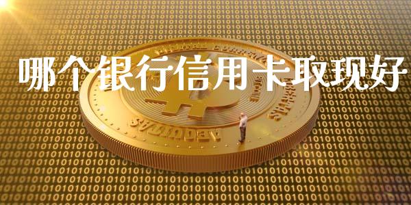 哪个银行信用卡取现好_https://m.kuaijiepai.net_货币基金_第1张