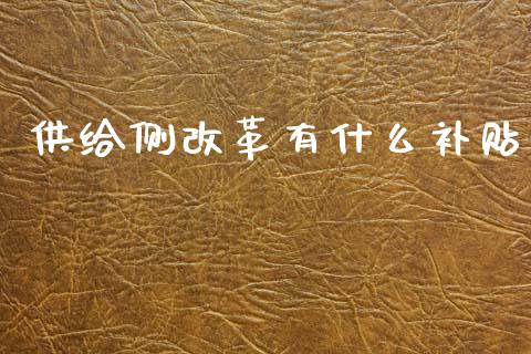 供给侧改革有什么补贴_https://m.kuaijiepai.net_资产证券化_第1张