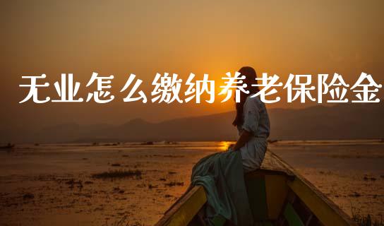 无业怎么缴纳养老保险金_https://m.kuaijiepai.net_股票交易_第1张