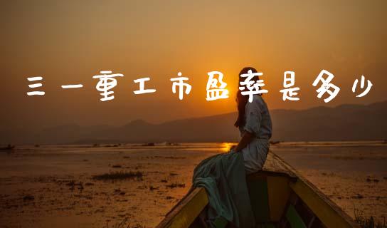 三一重工市盈率是多少_https://m.kuaijiepai.net_债券投资_第1张