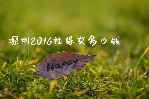 深圳2016社保交多少钱_https://m.kuaijiepai.net_债券投资_第1张