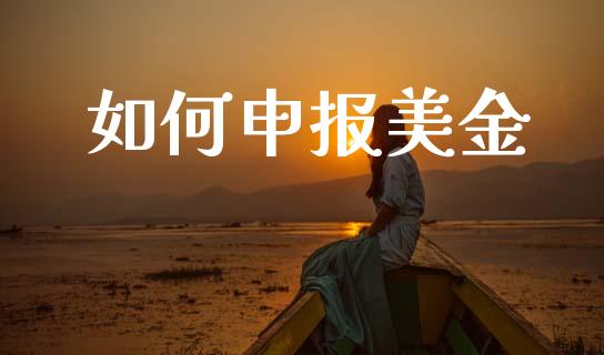 如何申报美金_https://m.kuaijiepai.net_债券投资_第1张