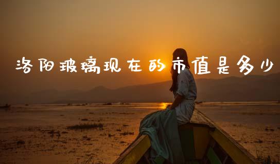 洛阳玻璃现在的市值是多少_https://m.kuaijiepai.net_货币基金_第1张